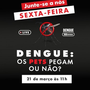 Será que cães e gatos podem pegar dengue?